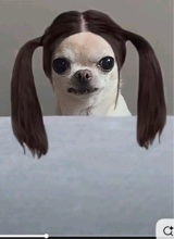 LAMUERTE