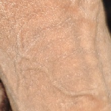 immagine avatar