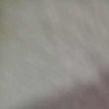 Guest_KarlaDandrea