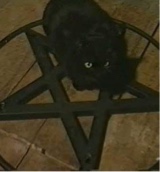 pussiez