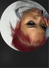 Guest_Mya167547