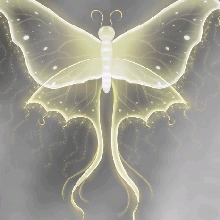 Guest_Poa17
