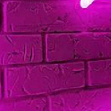 Guest_Victria328953