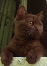 Guest_lara35630