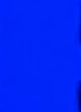 Guest_m959324