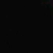Guest_Shinny28