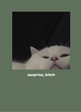 Guest_xXodinXx2