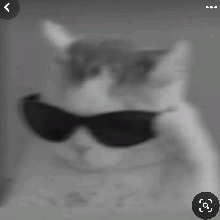 Guest_eladela89