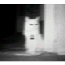 Tentei00