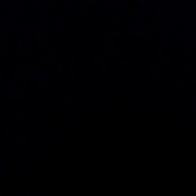 immagine avatar