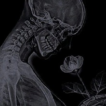 V5o5