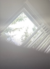 Guest_camjt29