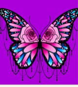 Guest_Bella657522