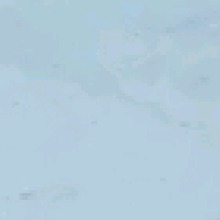 Guest_SimiAktar1