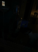 Guest_AshleyGuzman3