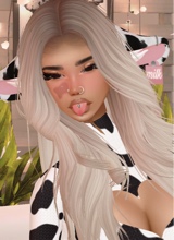 Guest_Niki262990
