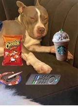 Guest_MrDTB1