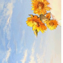 Guest_Breeze11