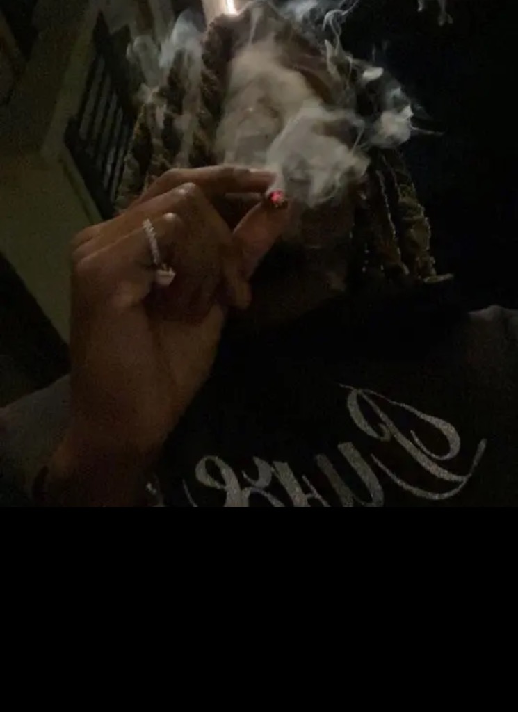Guest_kaleb113516