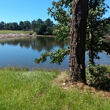 Guest_MakaylaGrant5