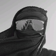 avpic