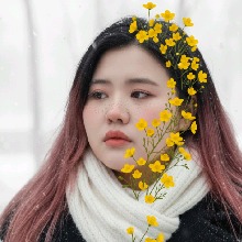 Kakateddybear