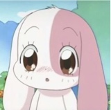 Guest_Aisha672