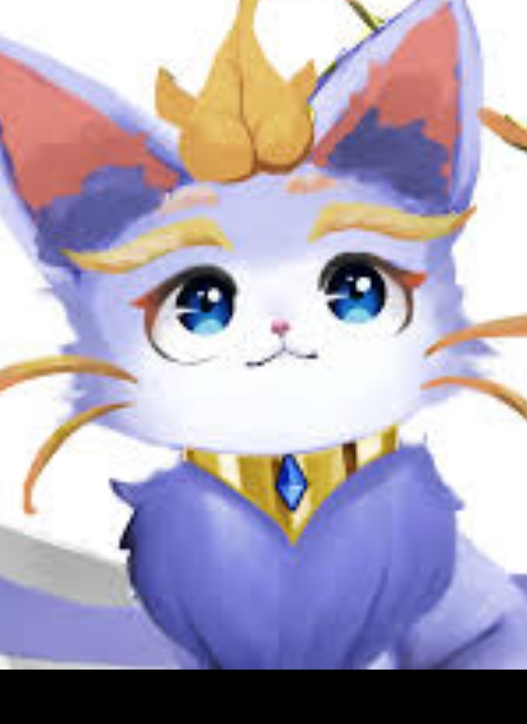 AnAfkCat