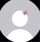 Bucchii