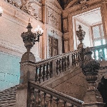 Guest_Maisie828745