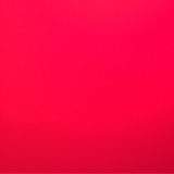 Guest_rosa680291