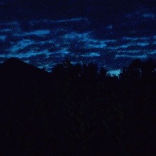 Guest_Nwm28