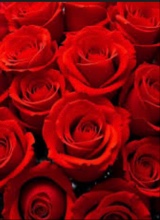 Guest_kimjay4
