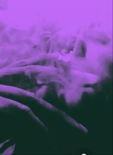 Guest_PackEmUp1