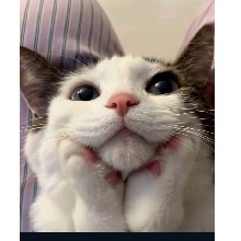 Guest_IlAmyLynnIl
