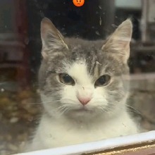 Guest_IlAmyLynnIl