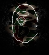 Guest_Queen123812263