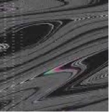 Guest_esRARE