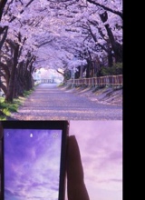 Guest_Asia619301