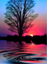 Guest_1PurpleBabyPrincess
