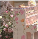Guest_Dior449665