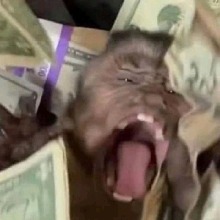 Guest_Goofygobler69