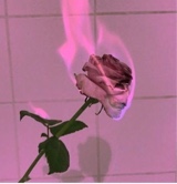 Guest_Mayatheedona
