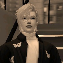 Guest_Dai10