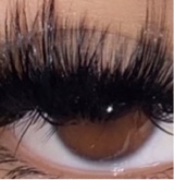Guest_desirae00