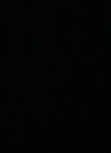 Guest_Marquis8
