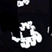 Guest_DTBKai2