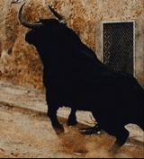 MoatazAdel