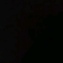 Guest_Iiliaz