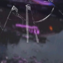 Guest_Conti8